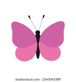 Butterfly icon on white background, Colorful Butterfly logo isolated, Beautiful Butterfly illustration