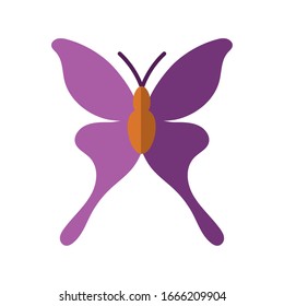 icono de mariposa sobre fondo blanco, estilo plano, ilustración vectorial
