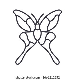 icono de mariposa sobre fondo blanco, estilo de detalle de línea, ilustración vectorial