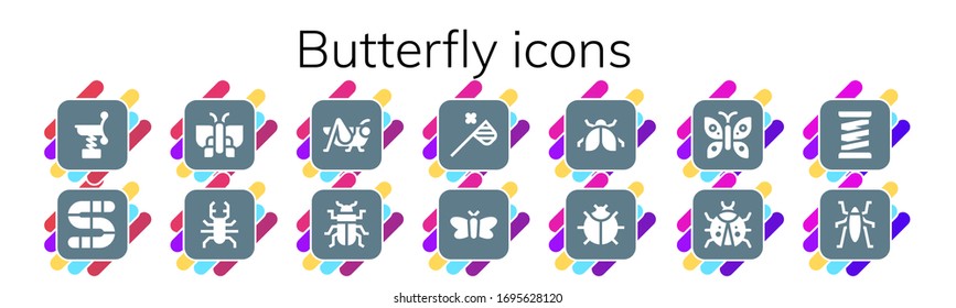 conjunto de iconos de mariposa. 14 iconos rellenos de mariposas. Incluye Primavera, Gusano, Mariposa, Escarabajo, Grasshopper, net, Moth, Ladybug, iconos de insectos