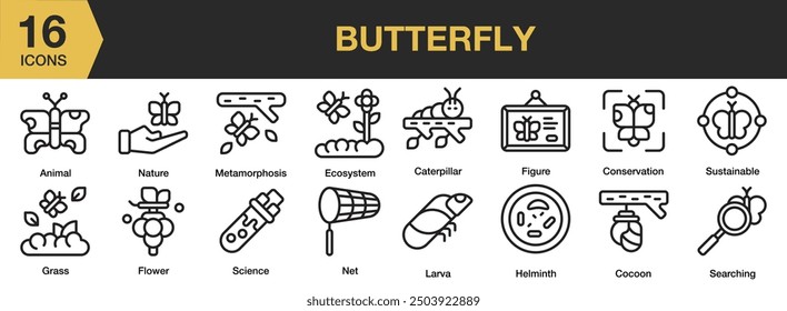 Conjunto de iconos de mariposa. Incluye naturaleza, metamorfosis, larva, flor, capullo y más. Colección de Vector de iconos de contorno.