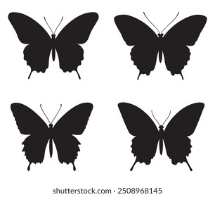 butterfly icon silhouette vector on white background