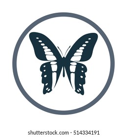 Butterfly icon. Simple design for web and mobile