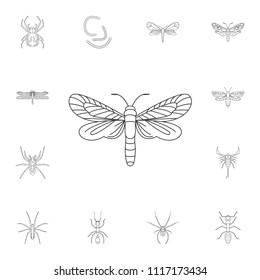 Butterfly icon. Simple element illustration. Butterfly symbol design from Insect collection set. Can be used for web and mobile on white background