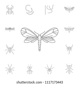 Butterfly icon. Simple element illustration. Butterfly symbol design from Insect collection set. Can be used for web and mobile on white background