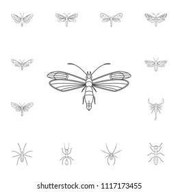 Butterfly icon. Simple element illustration. Butterfly symbol design from Insect collection set. Can be used for web and mobile on white background