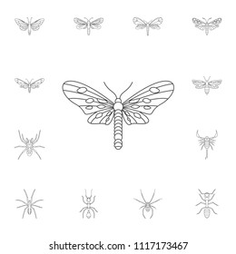 Butterfly icon. Simple element illustration. Butterfly symbol design from Insect collection set. Can be used for web and mobile on white background