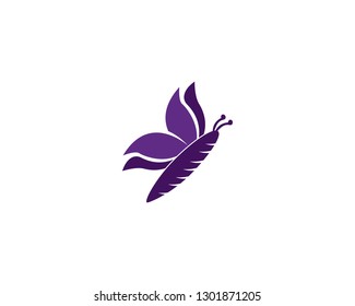 Butterfly icon and symbol template