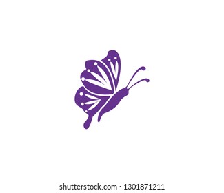 Butterfly icon and symbol template