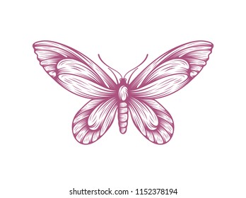 butterfly icon symbol vector illustration