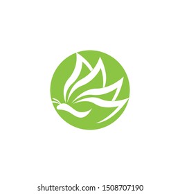 Butterfly icon and symbol vector illustration