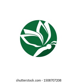 Butterfly icon and symbol vector illustration
