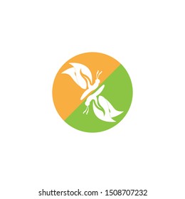 Butterfly icon and symbol vector illustration