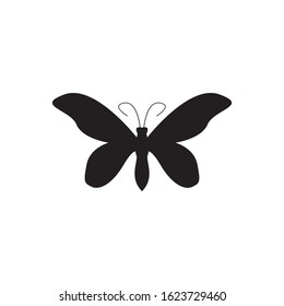 Butterfly icon and symbol vector illustration