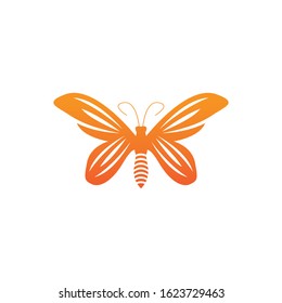 Butterfly icon and symbol vector illustration