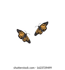Butterfly icon and symbol vector illustration