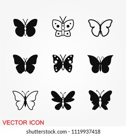 Butterfly icon vector