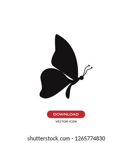 Butterfly icon vector