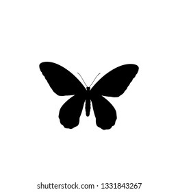 butterfly icon vector