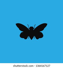 butterfly icon vector