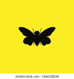 butterfly icon vector