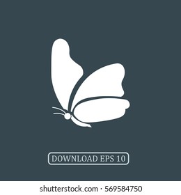 Butterfly icon vector