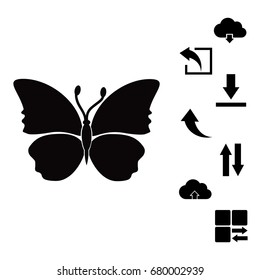 butterfly icon, vector best flat icon EPS 