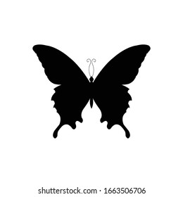 butterfly icon vector design element logo template