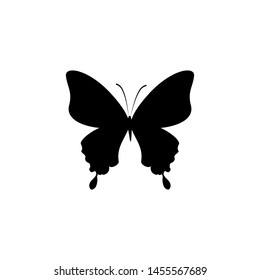 Butterfly icon vector design illustration