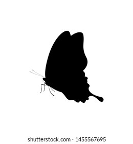 Butterfly icon vector design illustration