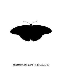 Butterfly icon vector design illustration