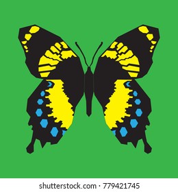 Butterfly icon. Vector illustration.