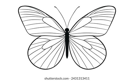 butterfly icon vector illustration on white background