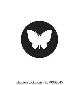 butterfly icon vector illustration symbol