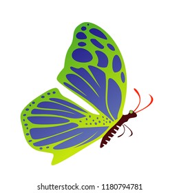 butterfly icon, vector illustrations, beautiful butterfly