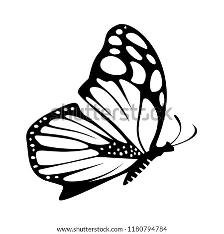 butterfly icon, vector illustrations, beautiful butterfly