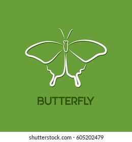 butterfly icon vector logo