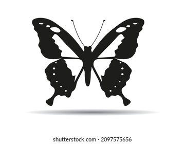 Butterfly Icon. Vector outline Illustration.