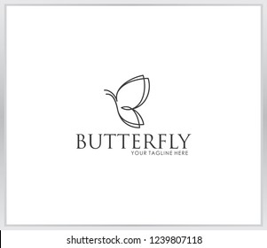 Butterfly icon. vector of butterfly shape lines