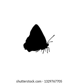 butterfly icon vector. butterfly sign on white background. butterfly icon for web and app