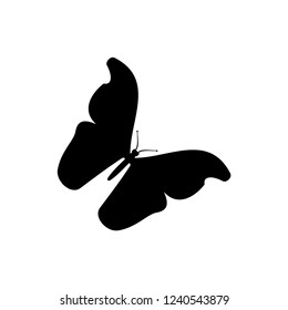 Butterfly icon vector templates