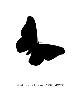 Butterfly icon vector templates