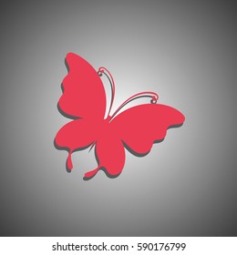 Butterfly icon. web design