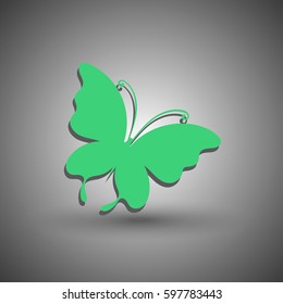 Butterfly icon. web design