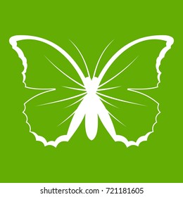 Butterfly icon white isolated on green background. Vector illustration