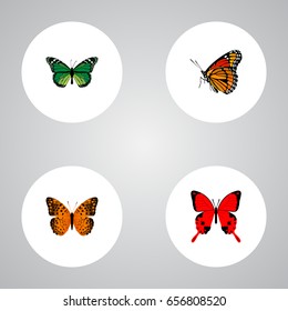 Butterfly icons