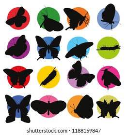 Butterfly icons set