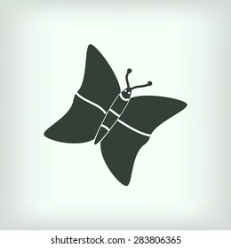 butterfly icons set