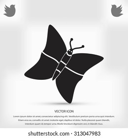 butterfly icons set