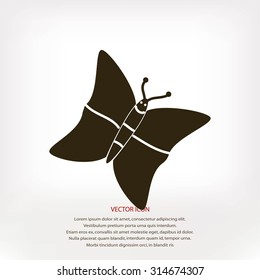 butterfly icons set